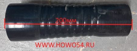 11234